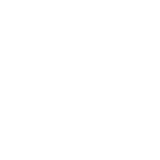 nim_erkki