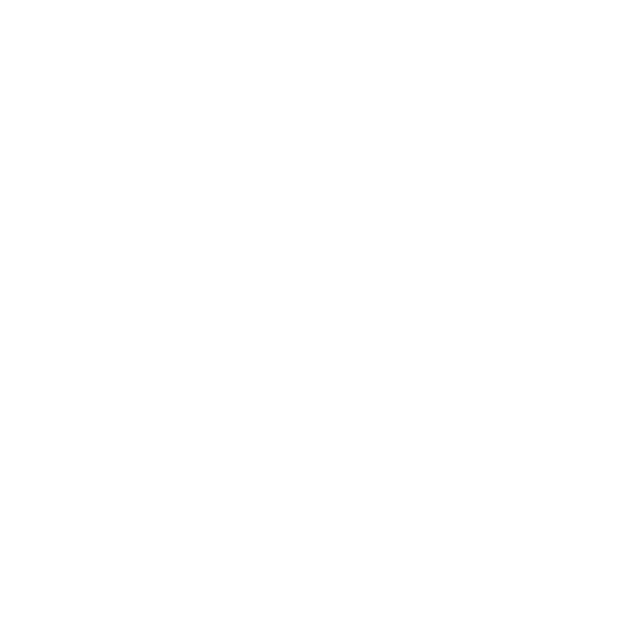 nim_anni3