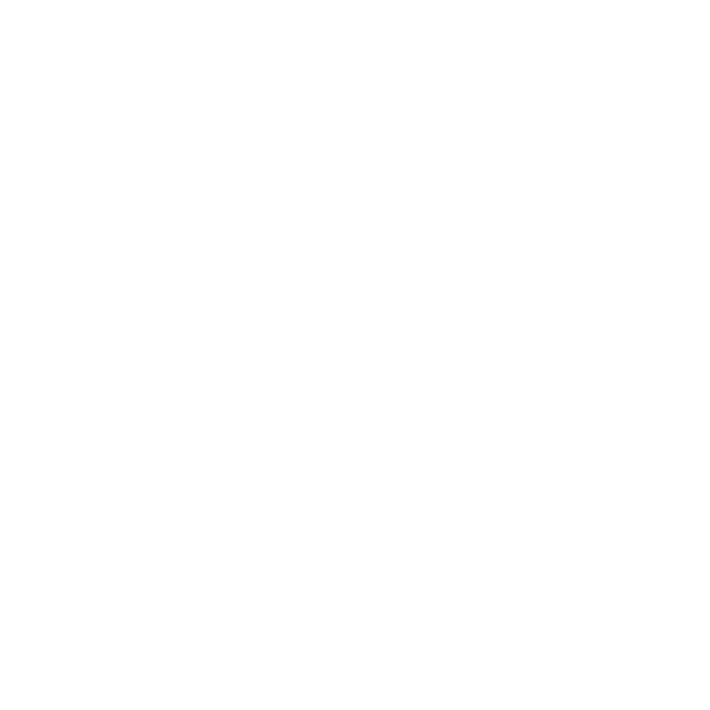 nim_liisa2