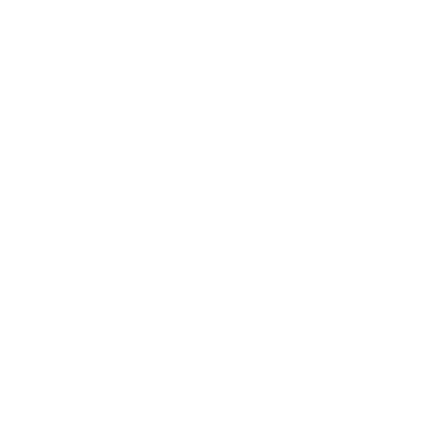 Anna Nurmela nimikirjoitus
