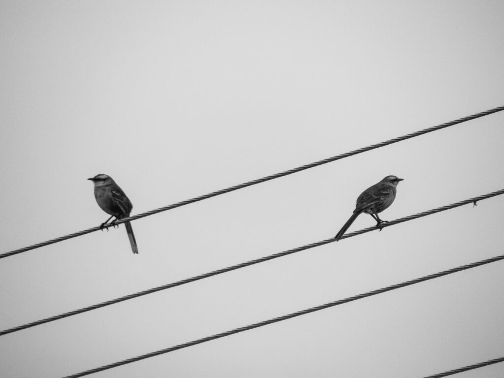 eduardo-soares-yxdWH9wRlZM-unsplash